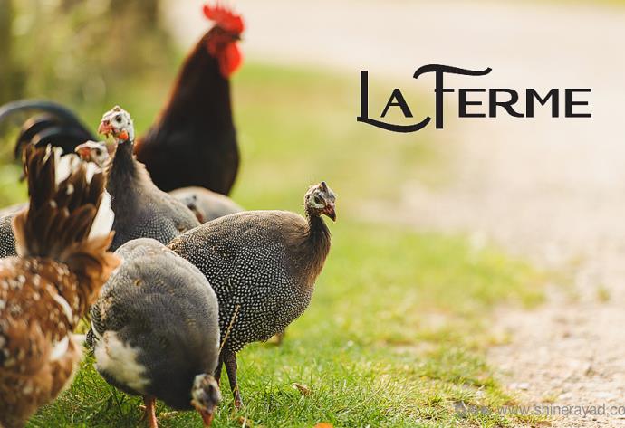 La Ferme雞肉品牌logo設計.jpg